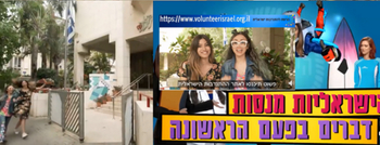 ���������  �������